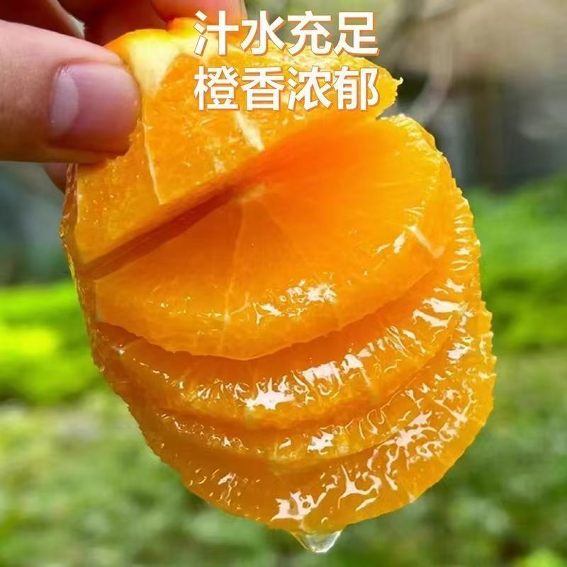 【实力】精四川泸州品甜橙橙香浓郁现摘现发一手货源