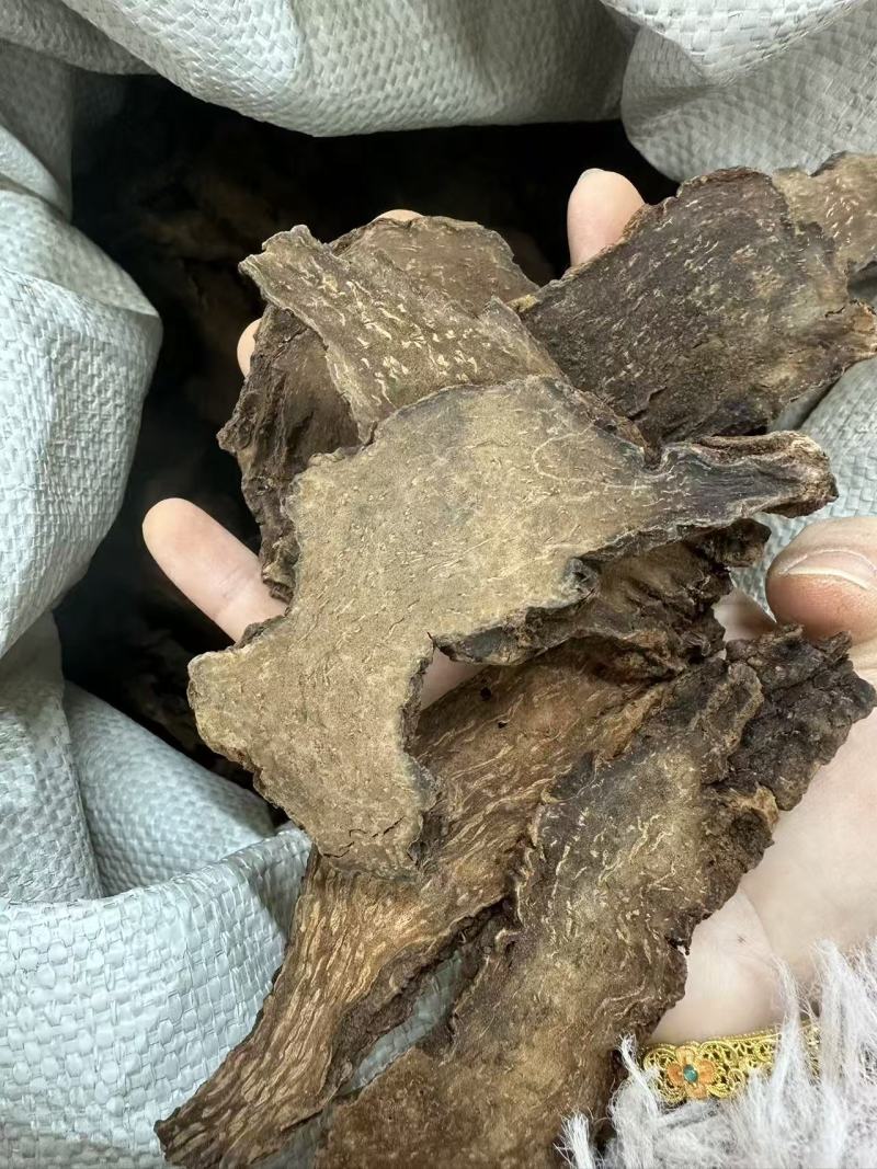 锁阳批发优质锁阳产地一首货源规格齐全量大价优
