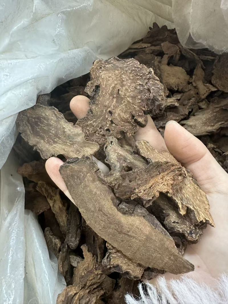 锁阳批发优质锁阳产地一首货源规格齐全量大价优