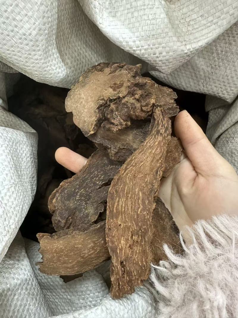 锁阳批发优质锁阳产地一首货源规格齐全量大价优