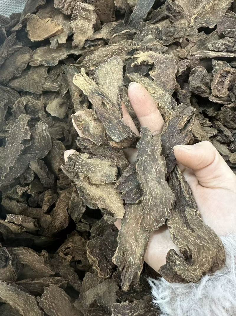 锁阳批发优质锁阳产地一首货源规格齐全量大价优