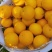 甜桔柚