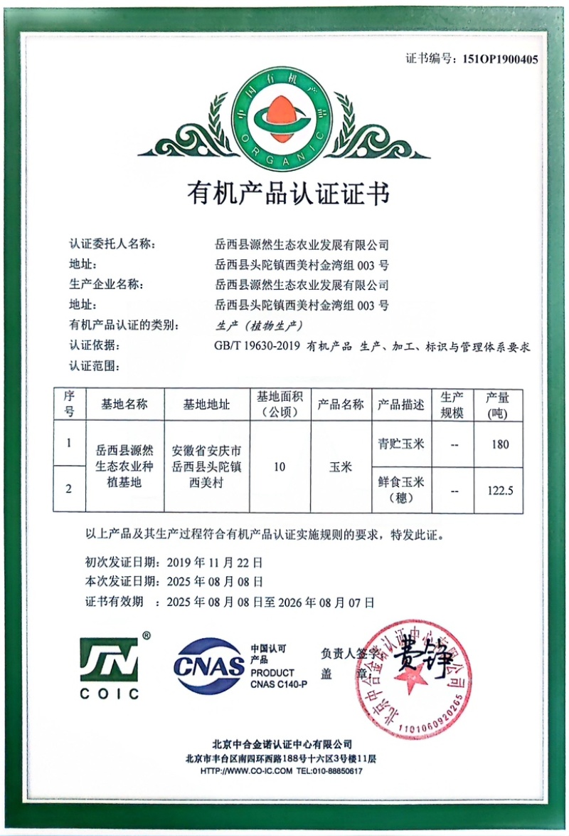 有机甜糯玉米，大别山高山种植，颗粒饱满，品质保障