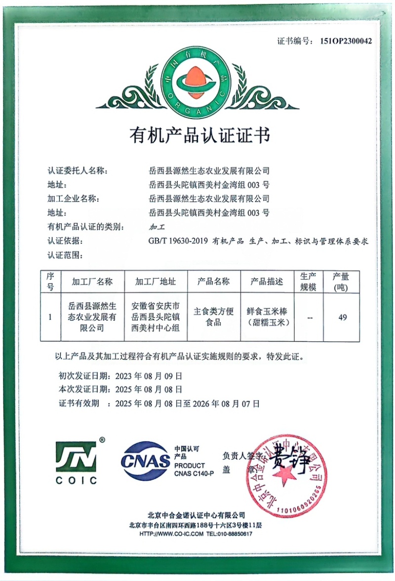 有机甜糯玉米，大别山高山种植，颗粒饱满，品质保障
