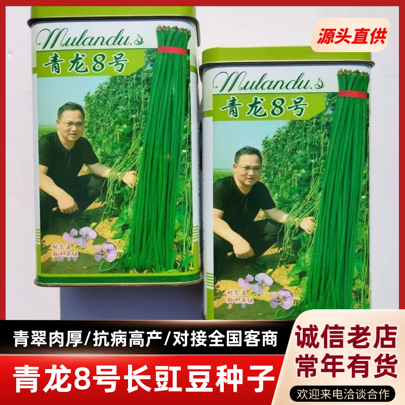 青龙8号长豇豆种籽四季豆角种肉厚高产抗病耐老化长豇豆种籽