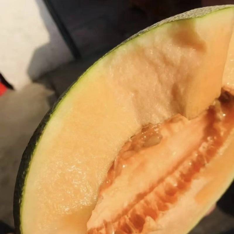 海南哈密瓜一件代发