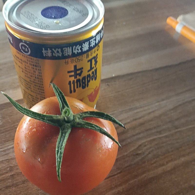田东县大红果