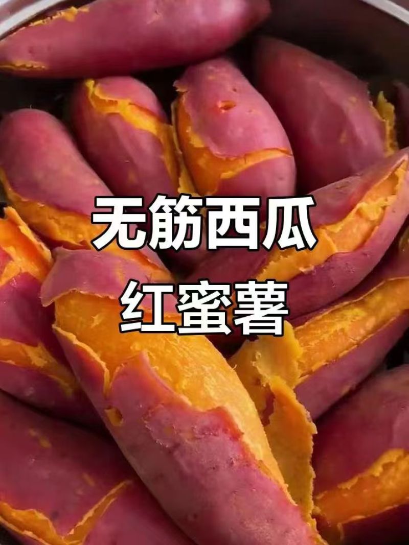 西瓜红红薯