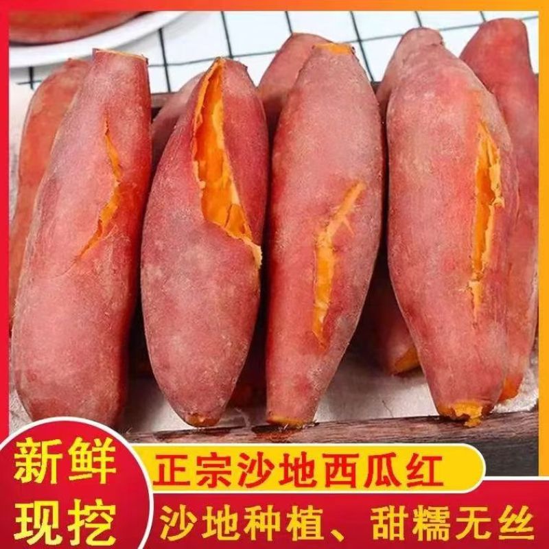西瓜红红薯