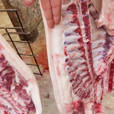 跑山土猪肉