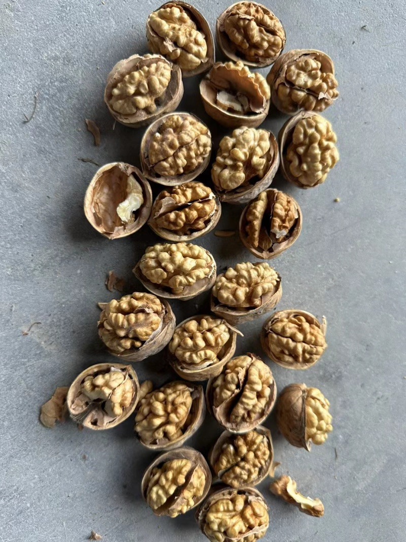 免洗阿克苏185纸皮核桃