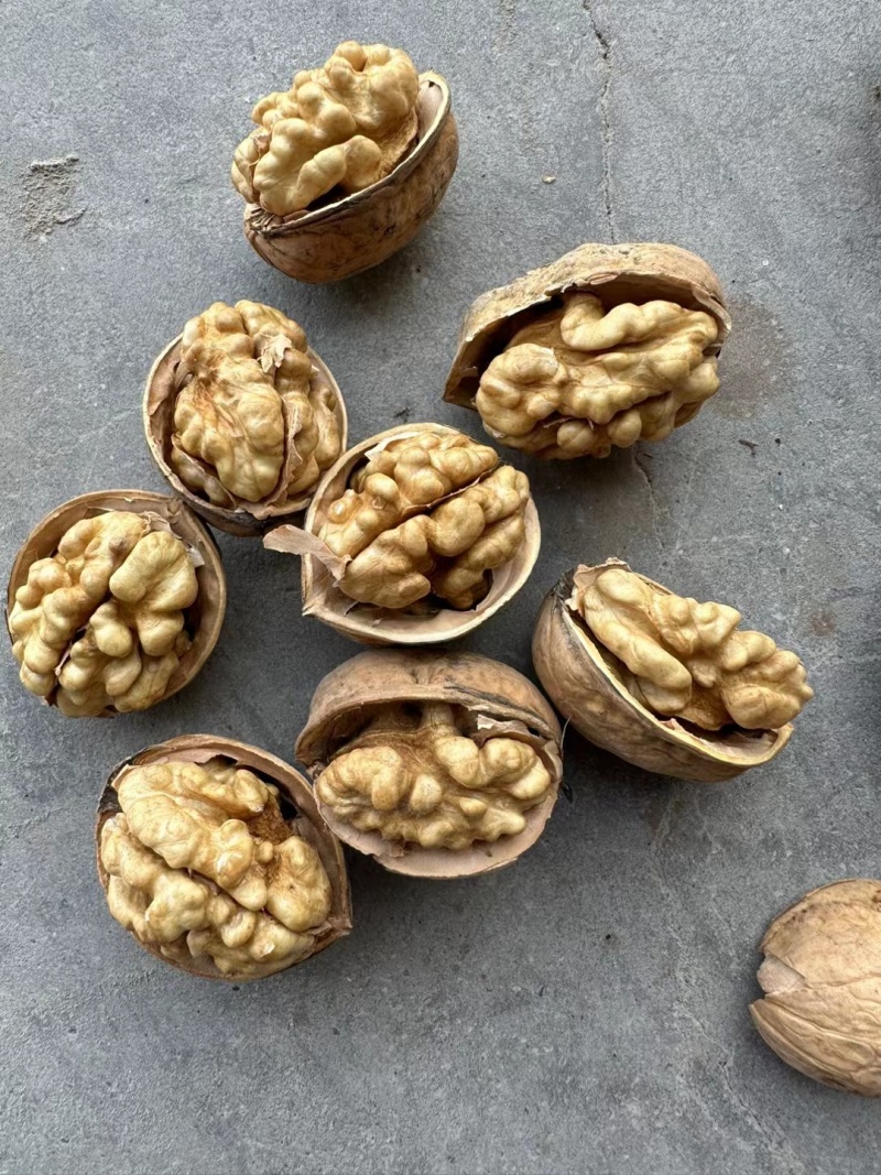 免洗阿克苏185纸皮核桃