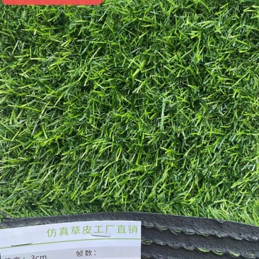 3㎝加密16针