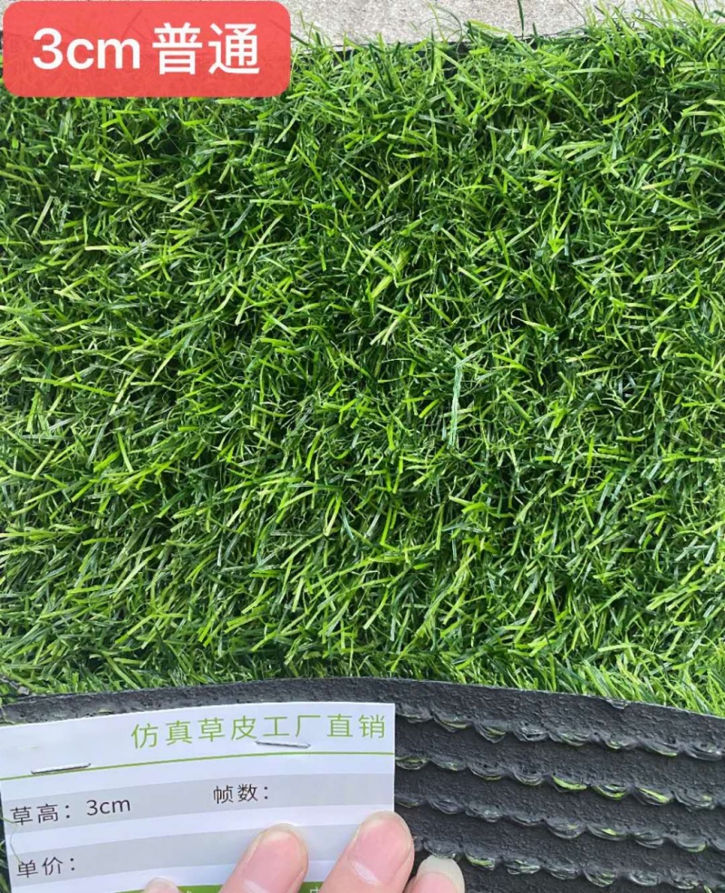 3㎝加密16针