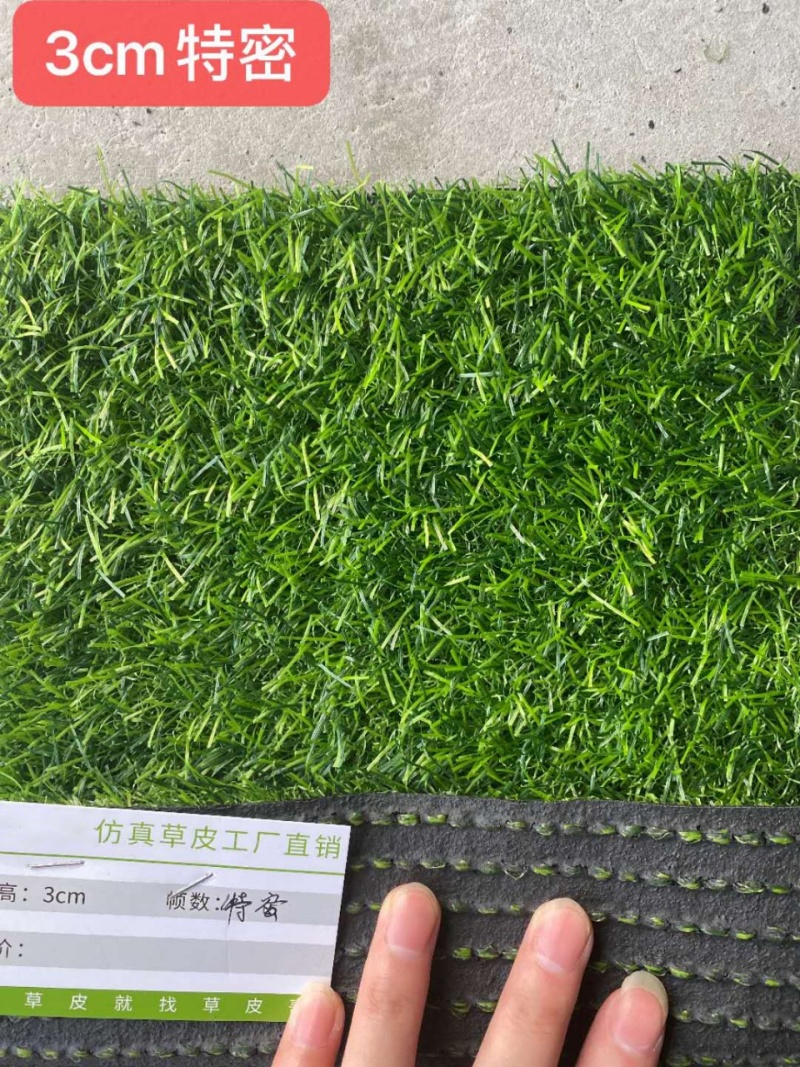 3㎝加密16针