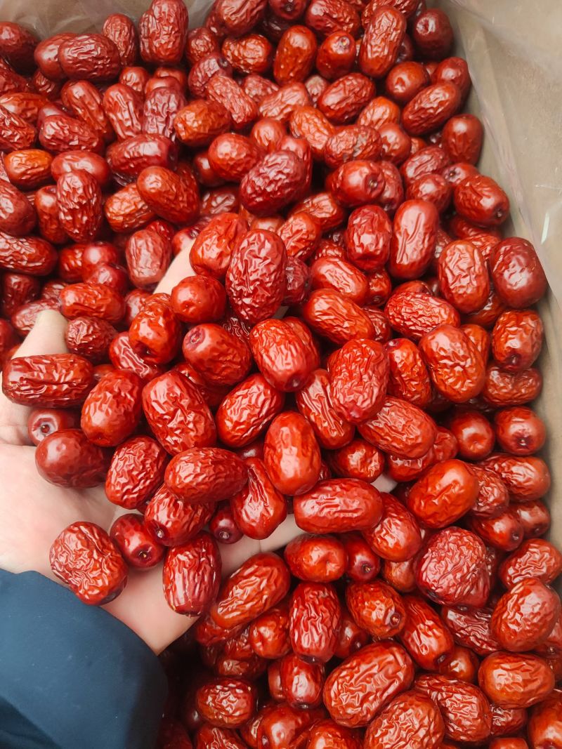 加工好灰枣清洗灰枣