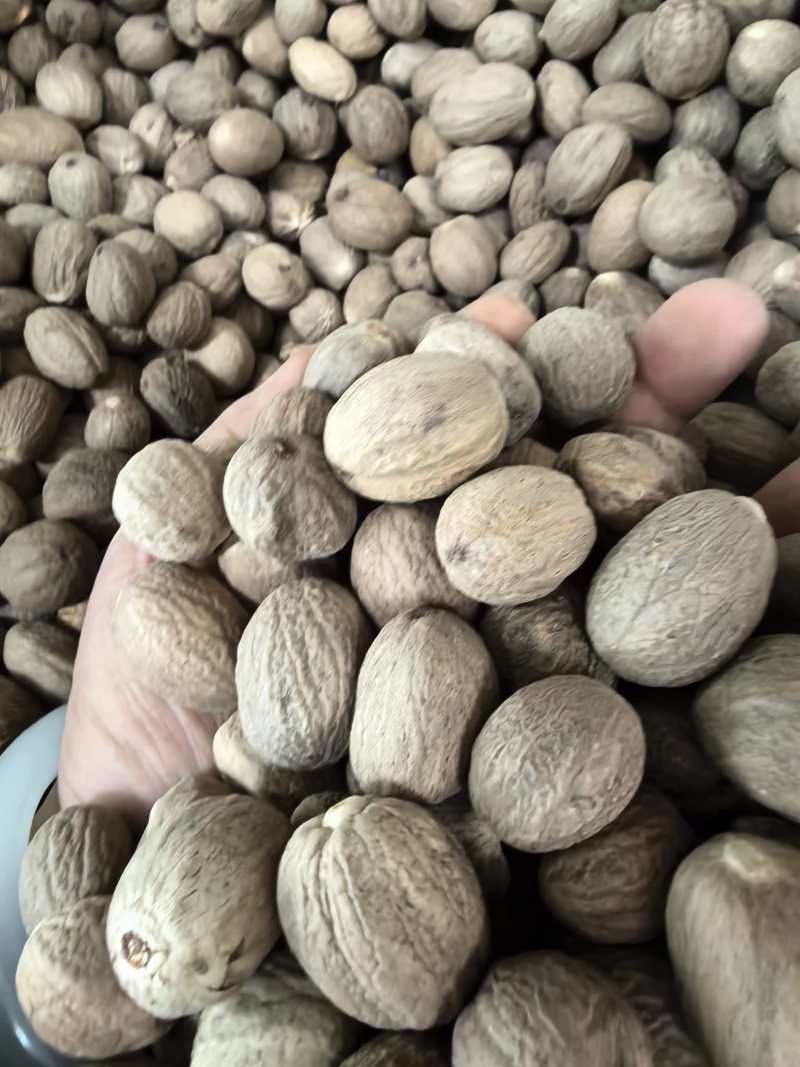 肉蔻干货调料肉蔻欢迎选购量大从优