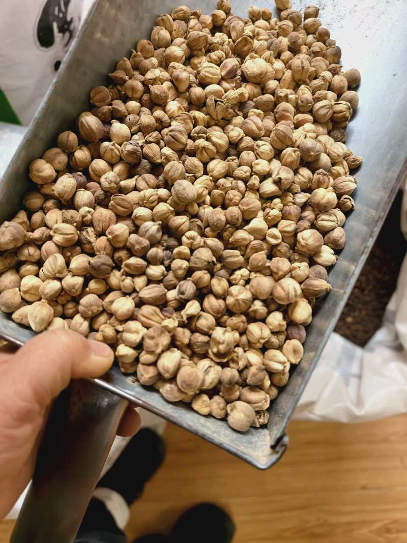 白扣干货白扣调料欢迎选购！量大从优！