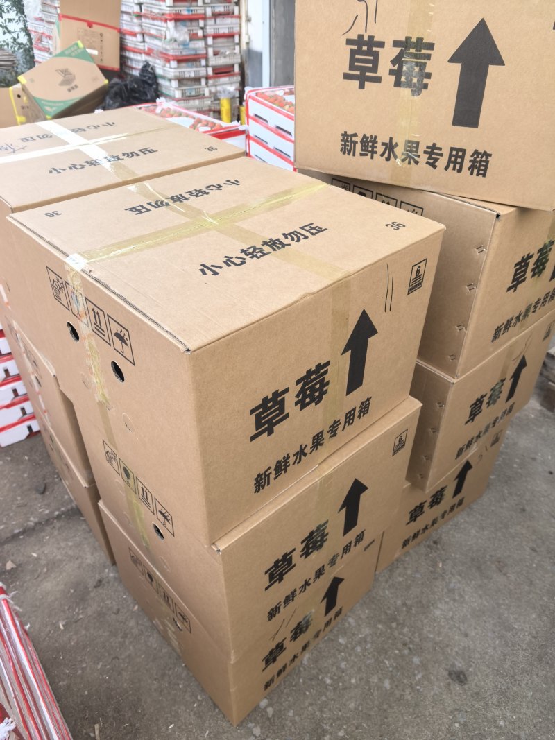 奶油草莓产地直发对接全国市场档口电商团购商超欢迎来电合作