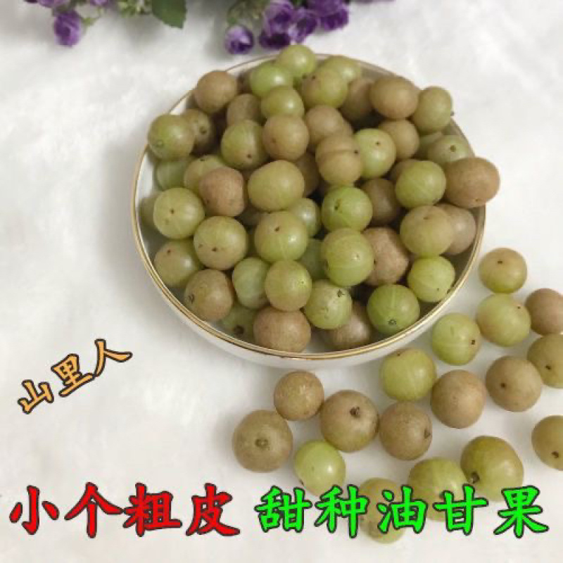 福建漳州余甘果腌制批发