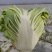 鸡腿白菜