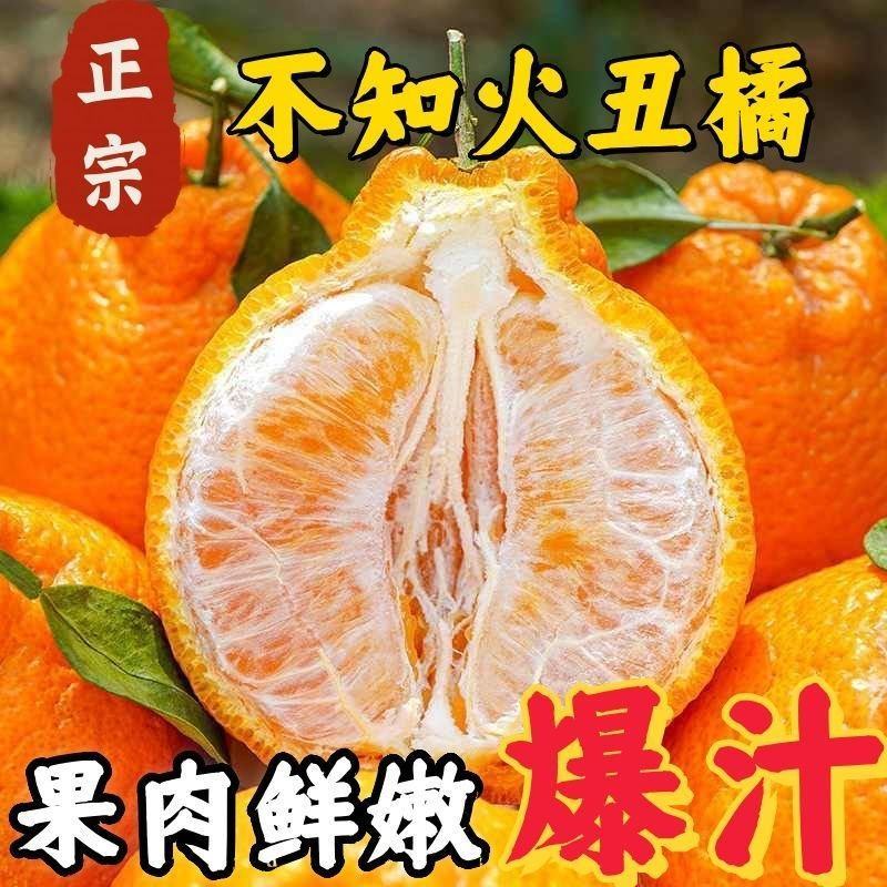 四川不知火丑橘大量供应，物美价优，诚信经营，欢迎选购