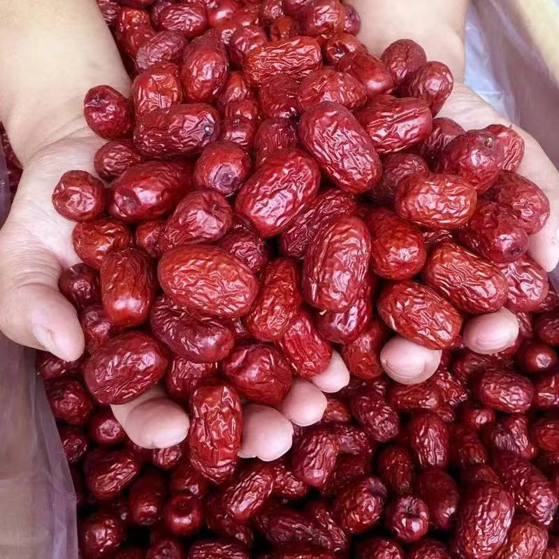 食用枣新疆大枣红枣灰枣各种规格批发零售保质保量中药材