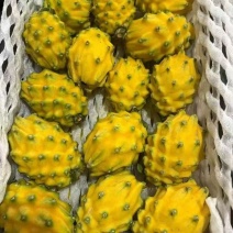 广西燕窝果麒麟果适合电商市场商超多多买菜社区团购精品礼盒