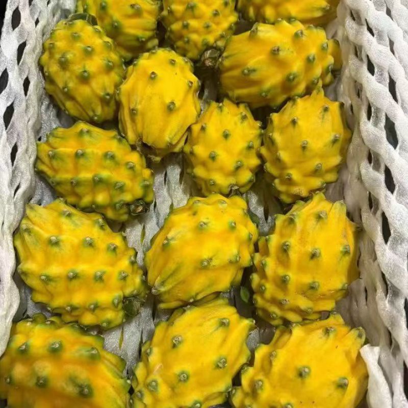 云南海南燕窝果麒麟果精品礼盒商超市场社区团购盒马山姆好果