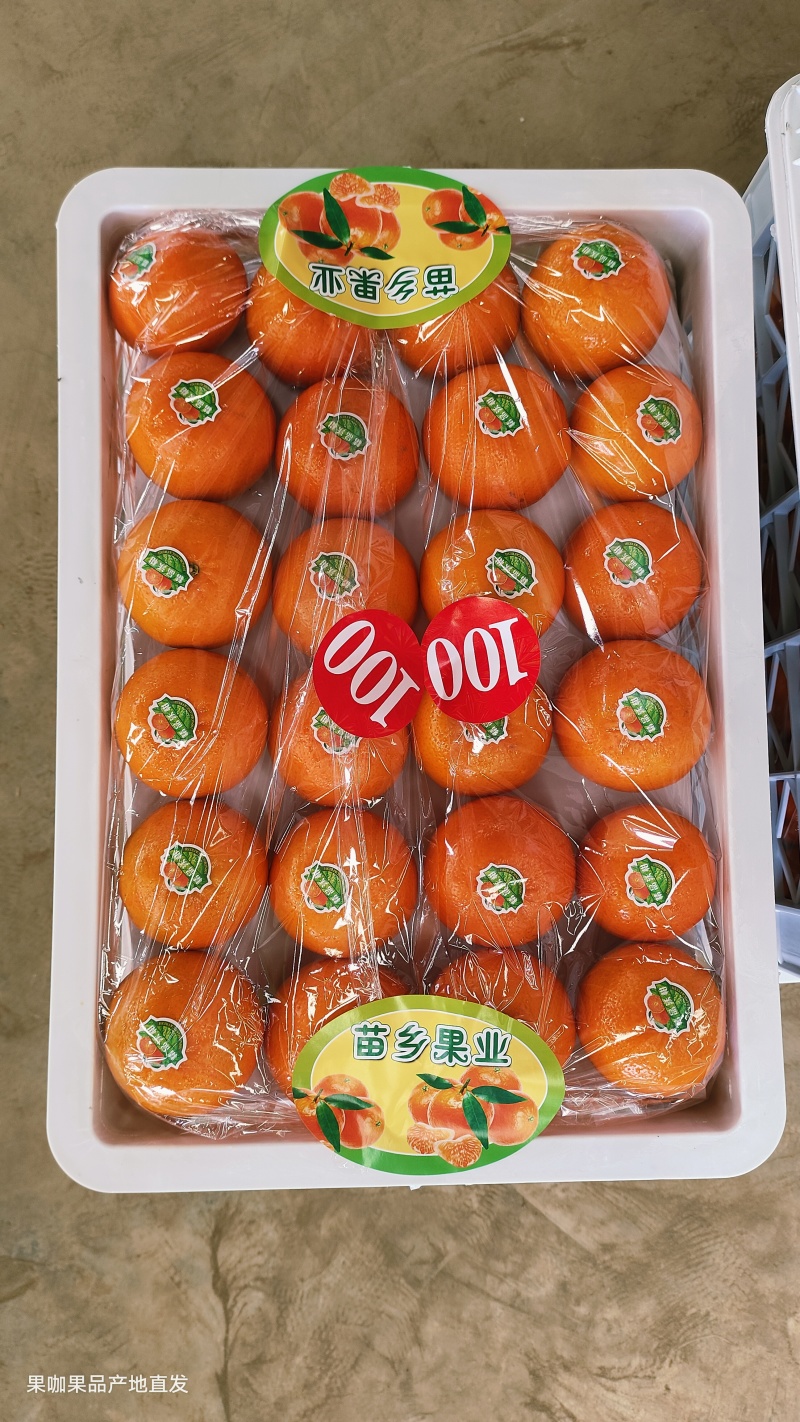 【优选沃柑】正宗广西沃柑各种规格对接全国客商价格优惠