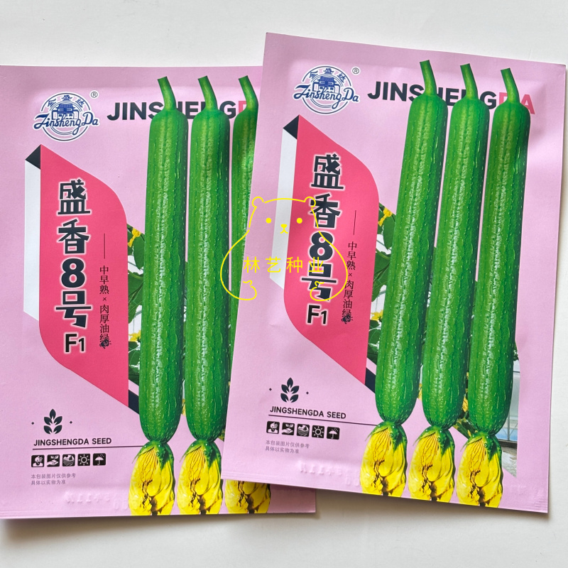 盛香8号F1丝瓜种子油绿厚肉长果高产抗病商品性佳