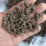 猫爪草纯野生尖爪猫爪草，精品