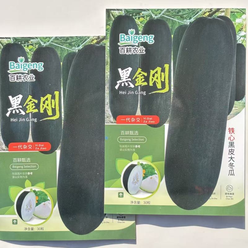 黑金刚铁心黑皮大冬瓜种子杂交炮弹形黑皮大冬瓜种子转黑快