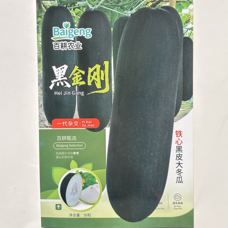 黑金刚铁心黑皮大冬瓜种子杂交炮弹形黑皮大冬瓜种子转黑快