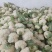 贵州遵义花菜上市花白菜白花菜椰菜西兰花，全国发货