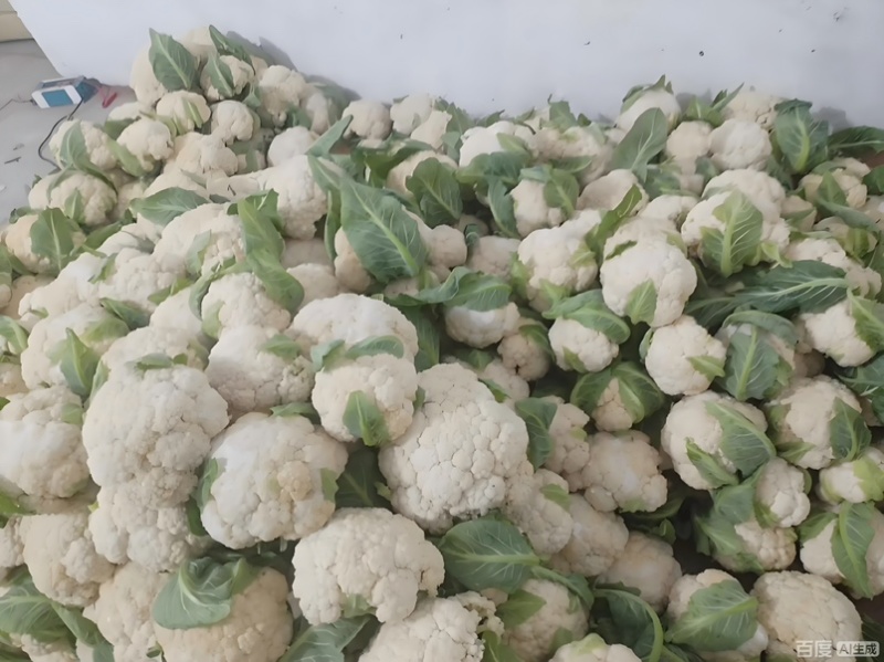 贵州遵义花菜上市花白菜白花菜椰菜西兰花，全国发货