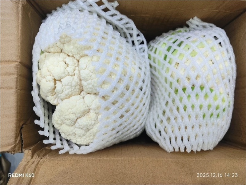 贵州遵义花菜上市花白菜白花菜椰菜西兰花，全国发货
