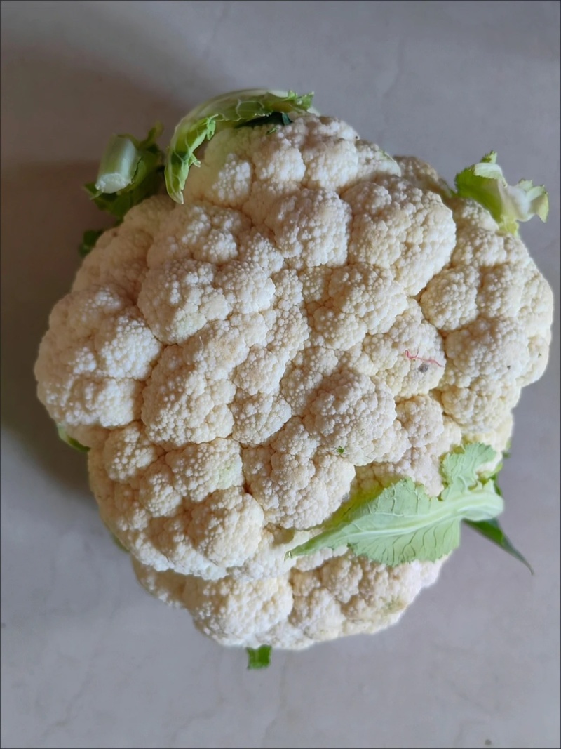 贵州遵义花菜上市花白菜白花菜椰菜西兰花，全国发货
