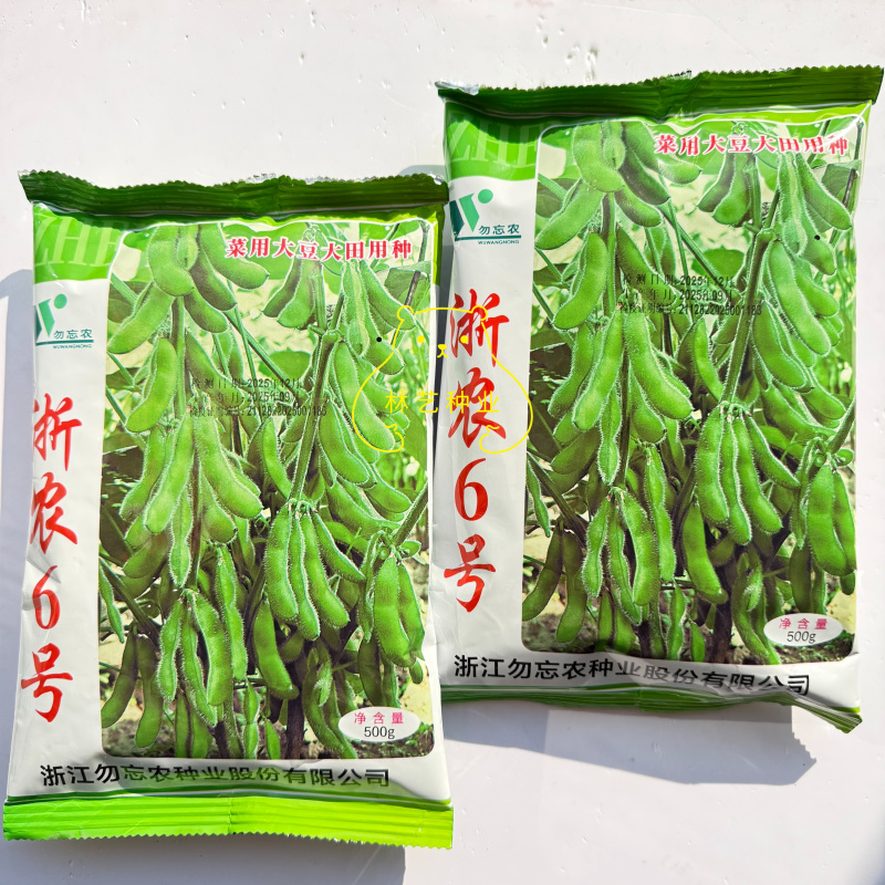 浙农6号毛豆种子春毛豆种子春大豆种子黄豆种子蔬菜种子