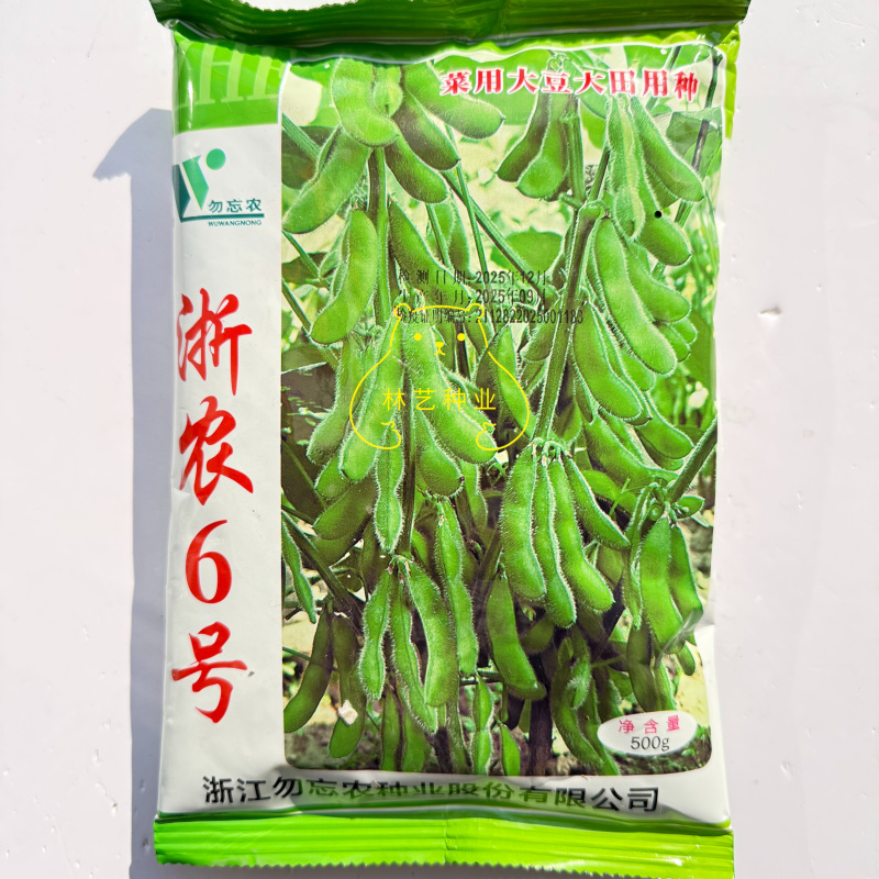 浙农6号毛豆种子春毛豆种子春大豆种子黄豆种子蔬菜种子