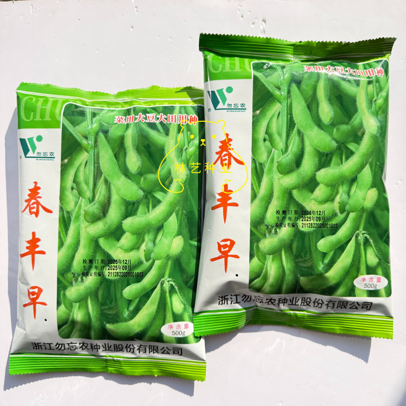 毛豆种子早熟春丰早毛豆杂交大田基地种植品种大粒青豆黄豆种
