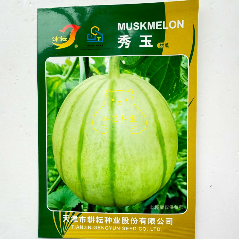 秀玉甜瓜种子四季酥脆香瓜种孑蔬菜水果种子高产薄皮香甜香瓜