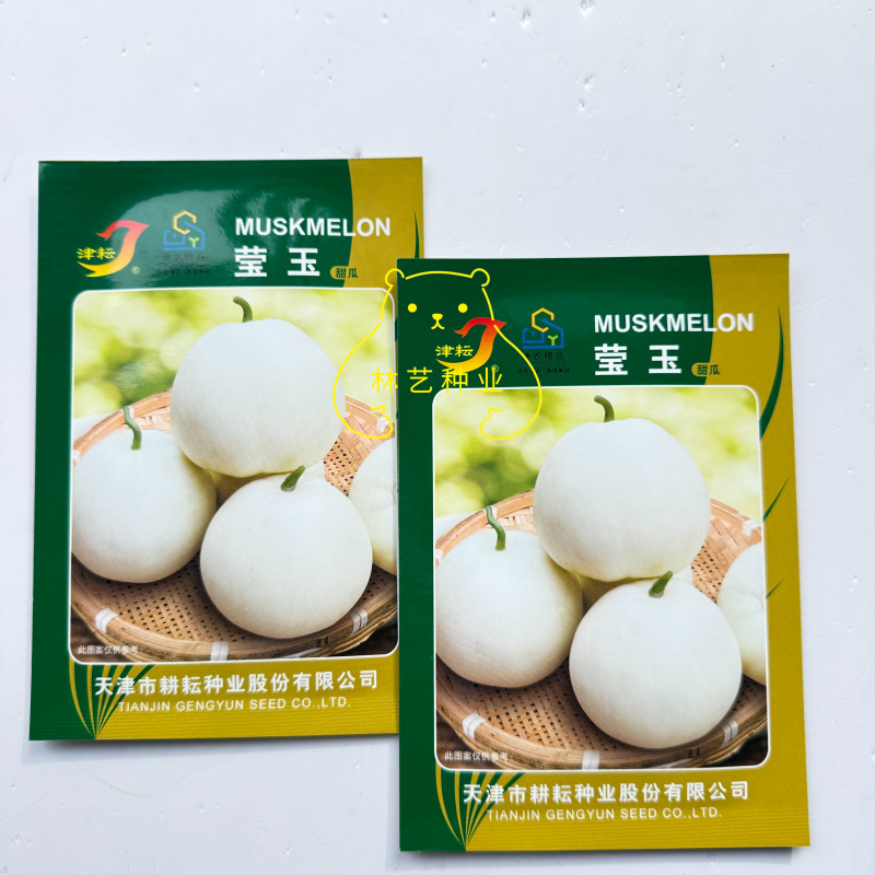莹玉甜瓜种子白皮白肉香瓜种籽薄皮脆甜汁多口感好农家春夏季