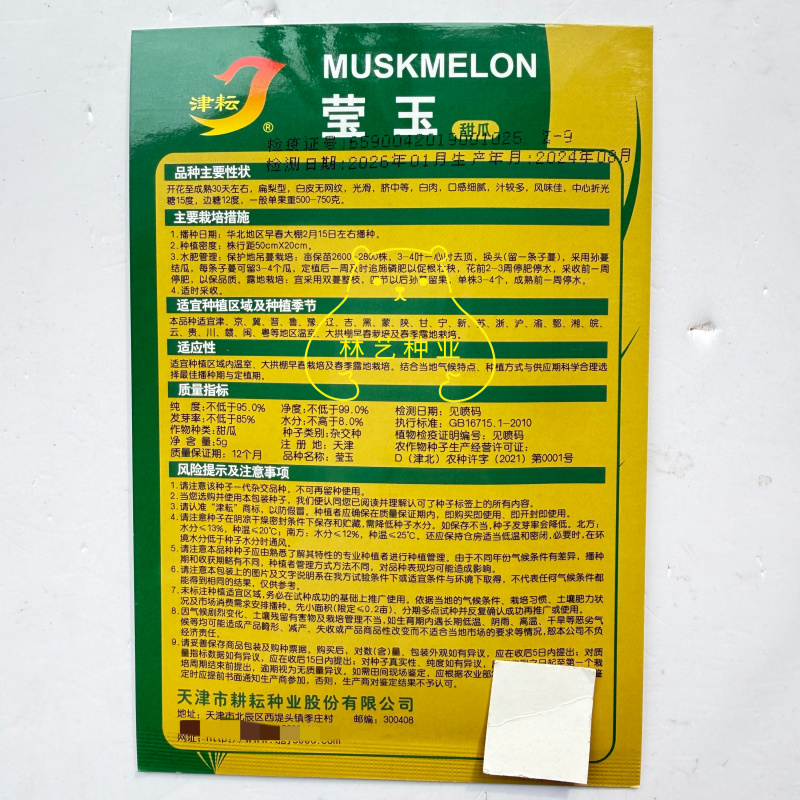 莹玉甜瓜种子白皮白肉香瓜种籽薄皮脆甜汁多口感好农家春夏季