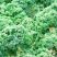 桂林市区羽衣甘蓝蔬菜种植基地新鲜采摘配送每天新鲜采摘配送