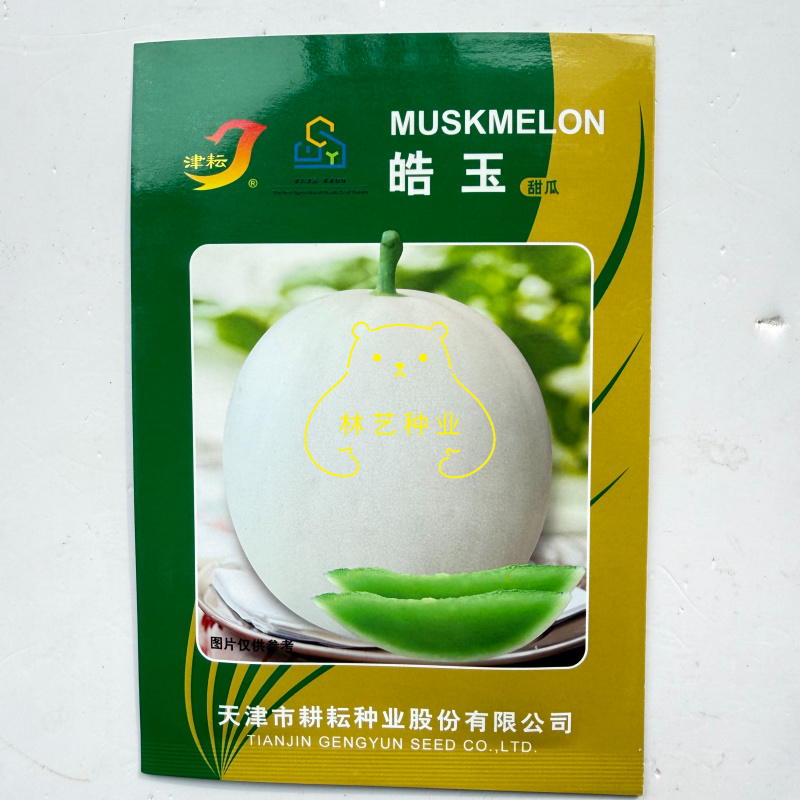 皓玉甜瓜种子中早熟白皮翠绿肉香瓜种籽圆形甜香瓜种子春秋播