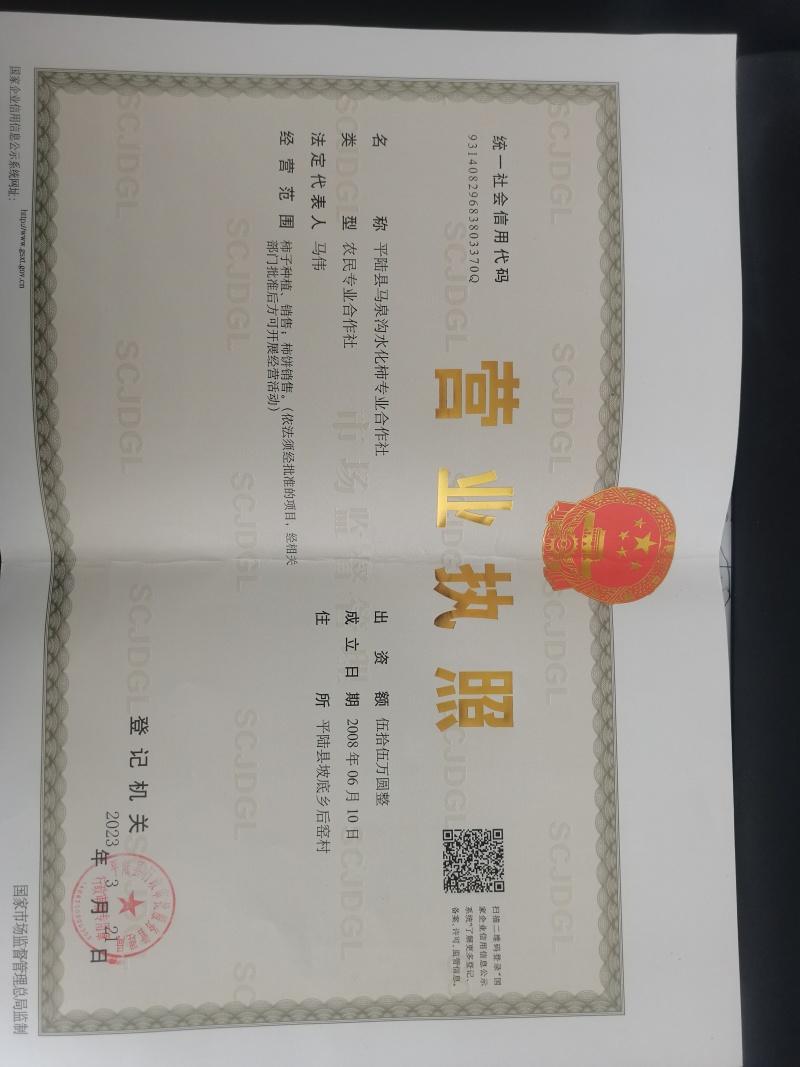 平陆县马泉沟水化柿饼