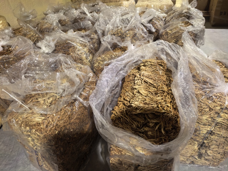原产地古田新鲜茶树菇上市