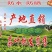 正宗湖南张家界三合镇月亮岩西湘龍峰绿茶，净重250g口感