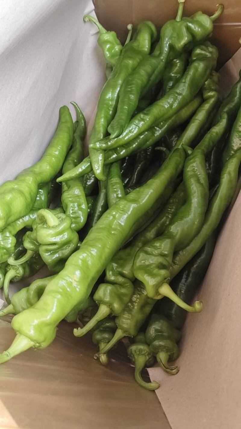 泡椒，线椒，苏椒，等